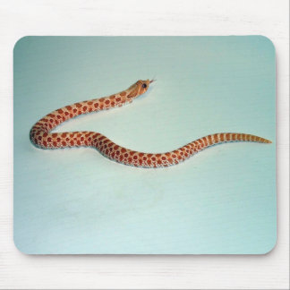 BabyAlbinoHognose orm Mousepad Musmatta