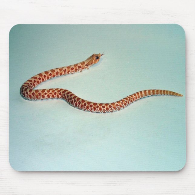BabyAlbinoHognose orm Mousepad Musmatta (Framsidan)