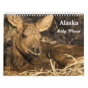 Babyälg Kalender