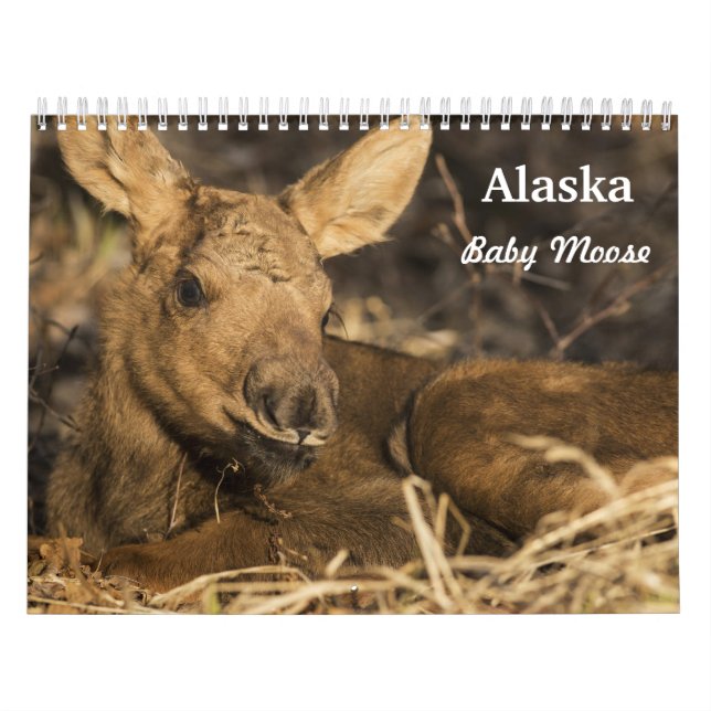 Babyälg Kalender (Omslag)