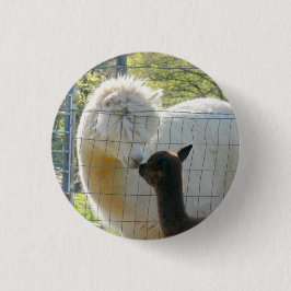 BabyAlpacakyssen knäppas Knapp
