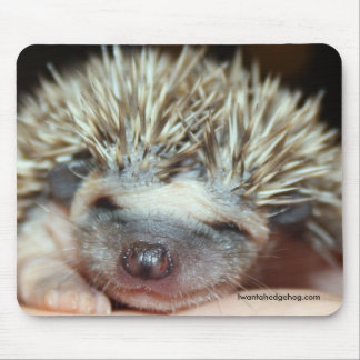 Babyansikte Musmatta