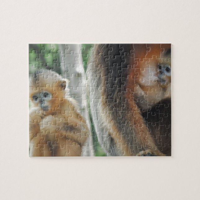 Babyapa med hans mor pussel (Horisontell)