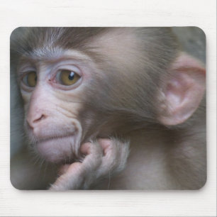 Babyapa Musmatta