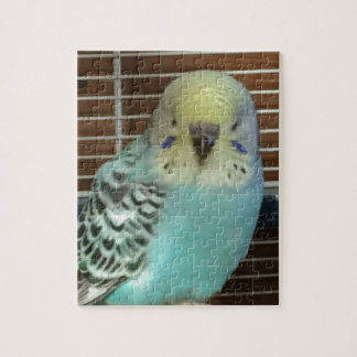Babybudgie Pussel