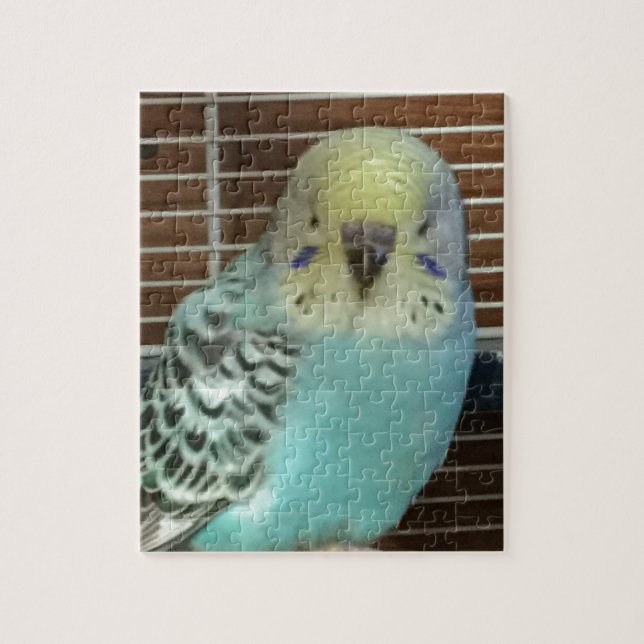 Babybudgie Pussel (Vertikal)