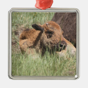 Babybuffelprydnad Julgransprydnad Metall