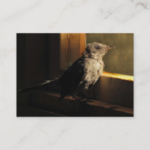 BabyCatbirdATC Visitkort