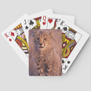 BabyCheetah som leker kort Spelkort