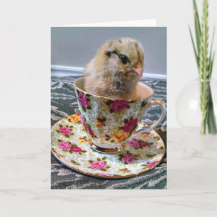 Babychick i ett kort för Teakopphälsning