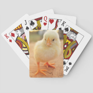 Babychickar Kortlek