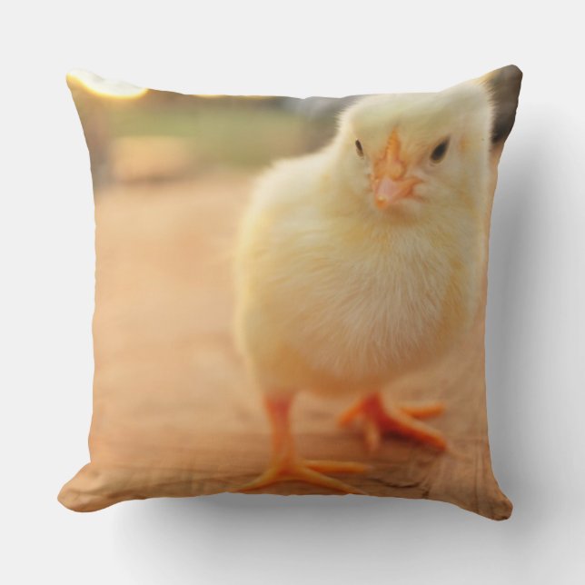 Babychickar Kudde (Framsida)