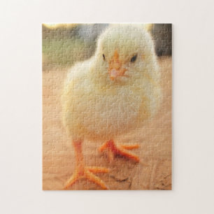 Babychickar Pussel