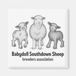 Babydoll Fårprodukter Magnet