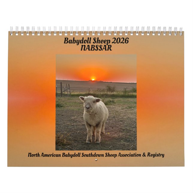 Babydoll Southdown Får 2026 NABSSAR Kalender (Omslag)