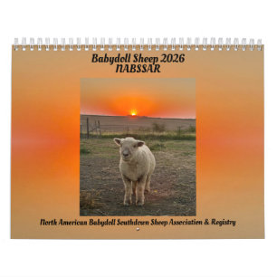 Babydoll Southdown Får 2026 NABSSAR Kalender
