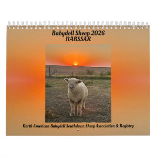 Babydoll Southdown Får 2026 NABSSAR Kalender