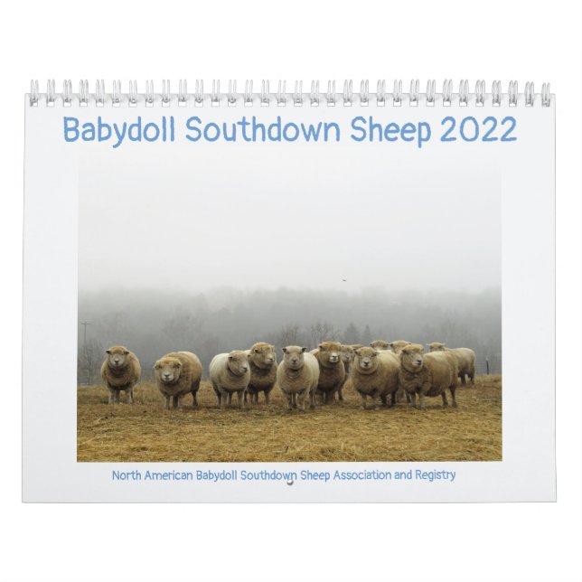Babydoll Southdown Sheep 2022 NABSSAR Calendar Kalender (Omslag)