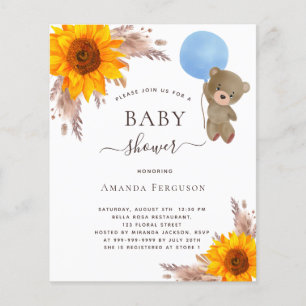 Babyduschpampas Solrostyngdynans budget Flygblad