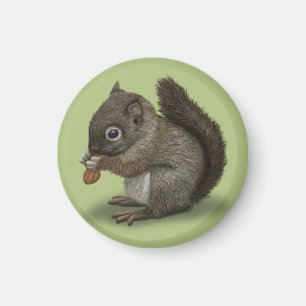 Babyekorre Magnet