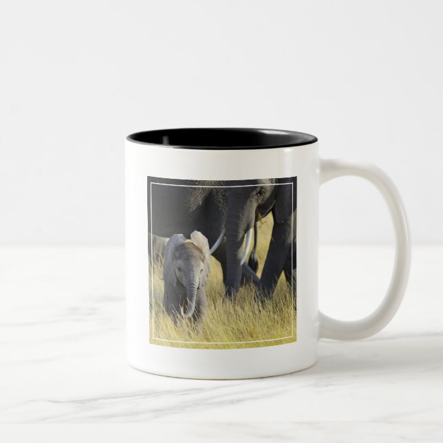 Babyelefant Två-Tonad Mugg (Höger)