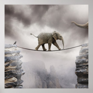 Babyelefanten går tightropen poster