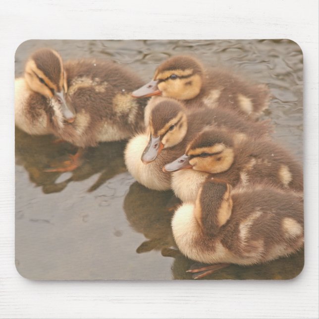 Babyen duckar fågeldjurlivet Mousepad Musmatta (Framsidan)