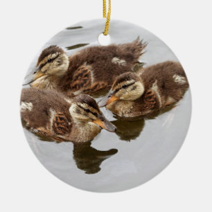 Babyen duckar fotoet julgransprydnad keramik
