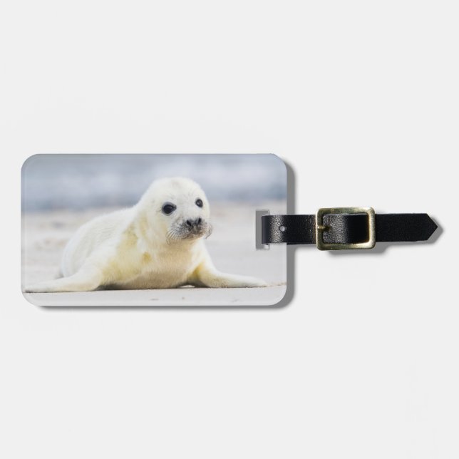 Babyen för Getty bilder | förseglar Bagagebricka (Horisontell Framsida)