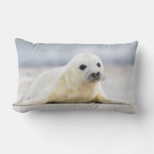 Babyen för Getty bilder | förseglar Lumbarkudde (Framsida)