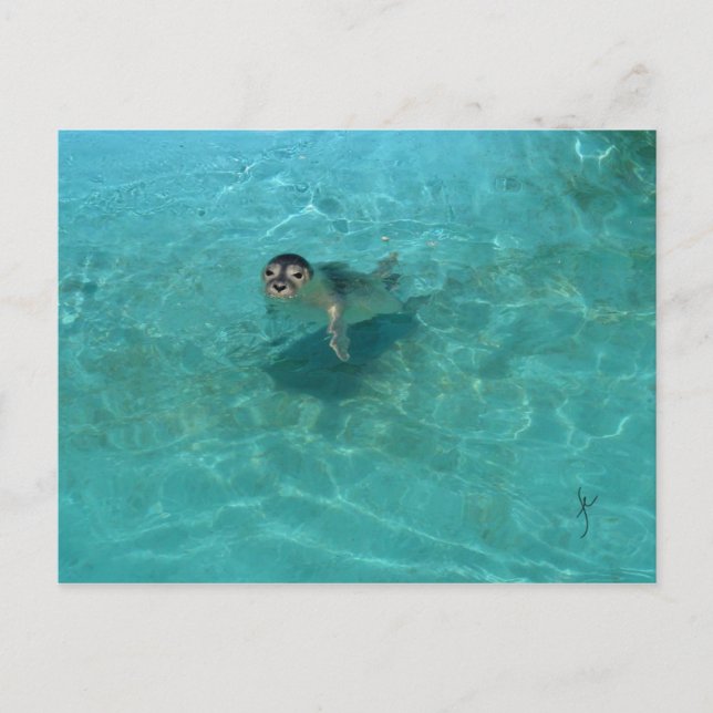 Babyen förseglar vykort (Framsida)