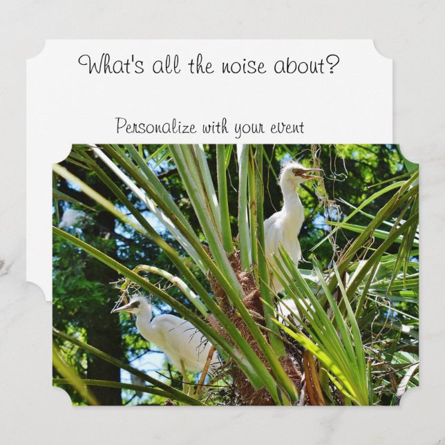 Babyfåglar Inbjudningar (Fram/baksida)