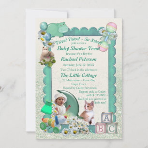 Babyflicka Bebis Shower Tweets Inbjudan