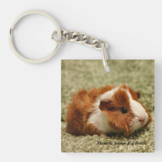 Babyförsökskanin Keychain