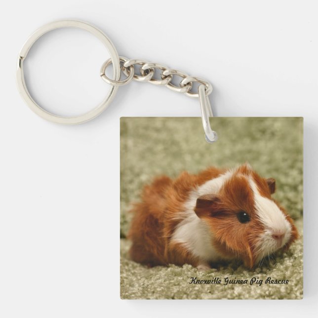 Babyförsökskanin Keychain (Framsidan)