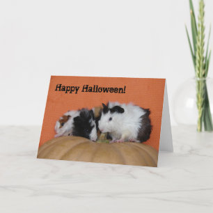 Babyförsökskaninar, happy halloween! kort