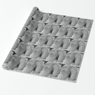 Babyfot Presentpapper