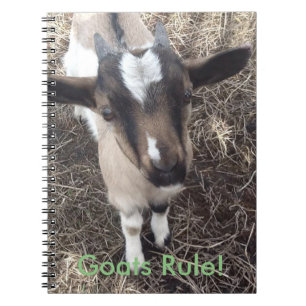 Babygetanteckningsbok Anteckningsbok