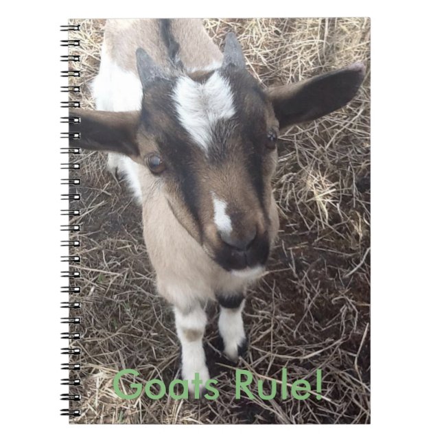 Babygetanteckningsbok Anteckningsbok (Framsidan)