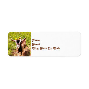 Babygetreturetiketter Returadress Etikett