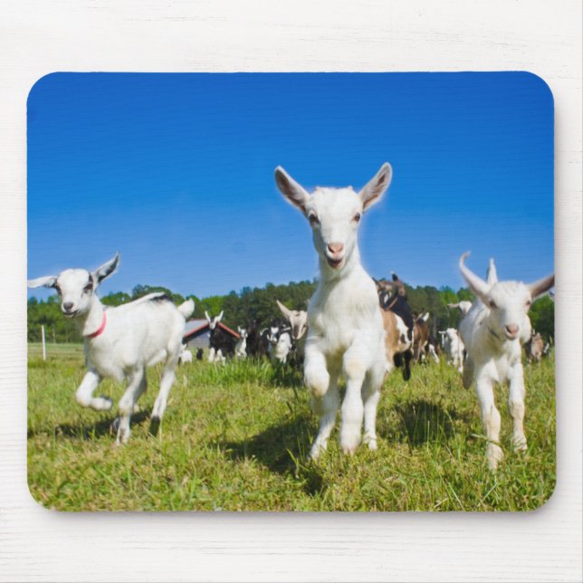 Babygetter Mousepad Musmatta (Framsidan)