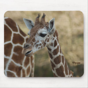 Babygiraff 02 musmatta