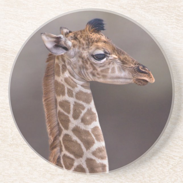 Babygiraffkustfartyg Underlägg (Framsidan)