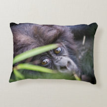 Babygorilla av den Rwanda afrikan