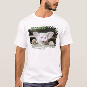 Babygrisen skrivar in, pigleten tröja