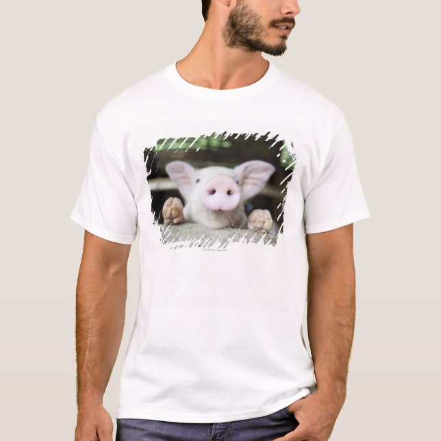 Babygrisen skrivar in, pigleten tröja (Framsida)