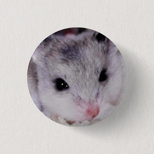 babyham knapp (Framsida)