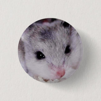 babyham knapp