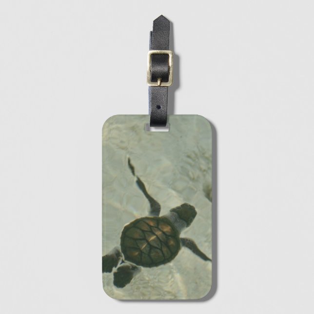 Babyhavssköldpadda som ut simmar till havet bagagebricka (Framsida vertikal)