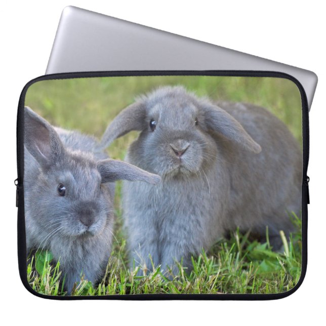 BabyHolland Lop kaniner - gulliga kaniner Laptop Fodral (Framsidan)